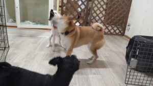 夜のお時間　2025/10/3