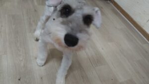 午前のお時間　2025/10/4