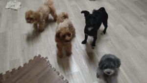 夜のお時間　2025/10/4