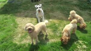 午前のお時間　2025/10/5