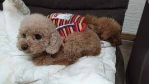 夜のお時間　2025/10/5