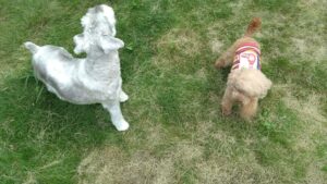 午前のお時間　2025/10/6