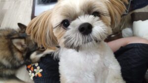 夜のお時間　2025/10/6