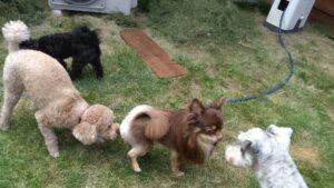 午前のお時間　2025/10/7