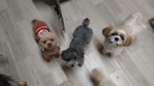 夜のお時間　2025/10/7