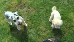 朝のお時間　2025/10/8