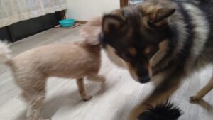 夜のお時間　2025/10/8