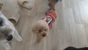 朝のお時間　2025/10/9