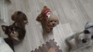 夜のお時間　2025/10/9