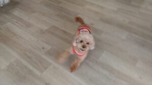 朝のお時間　2025/10/10