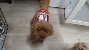 夜のお時間　2025/10/10