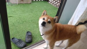 午前のお時間　2025/10/11