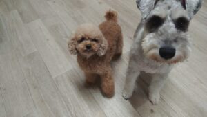 夜のお時間　2025/10/11