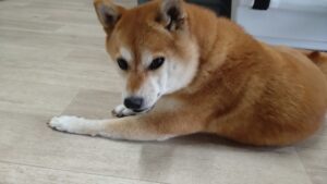 午前のお時間　2025/10/12