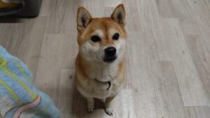 夜のお時間　2025/10/12