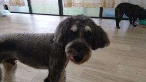 午前のお時間　2025/10/13