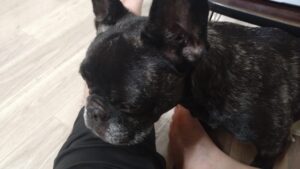 夜のお時間　2025/10/13