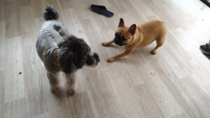 朝のお時間　2025/10/14