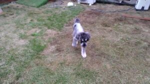 夜のお時間　2025/10/14