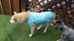 朝のお時間　2025/10/15