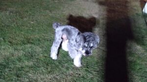 夜のお時間　2025/10/15