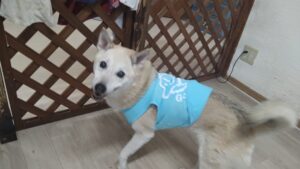 朝のお時間　2025/10/16