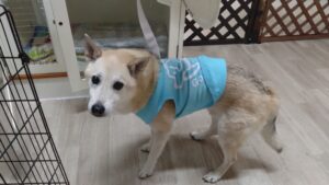 夜のお時間　2025/10/16