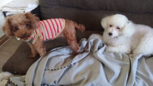 午前のお時間　2025/10/17