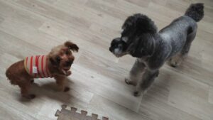 夜のお時間　2025/10/17