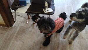 午前のお時間　2025/10/18