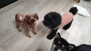 夜のお時間　2025/10/18