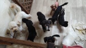 午前のお時間　2025/10/19