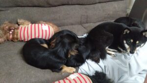 夜のお時間　2025/10/19