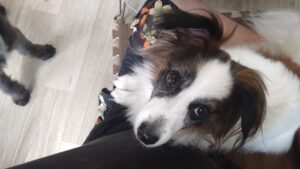 午前のお時間　2025/10/20