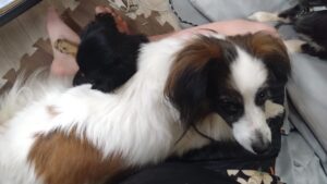 夜のお時間　2025/10/20