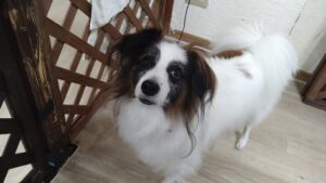 午前のお時間　2025/10/21