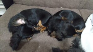 夜のお時間　2025/10/21