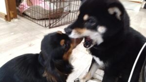 朝のお時間　2025/10/22