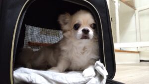 夜のお時間　2025/10/22