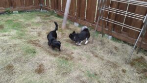 午前のお時間　2025/10/23