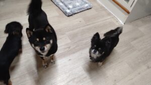 夜のお時間　2025/10/23