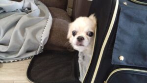 午前のお時間　2025/10/24