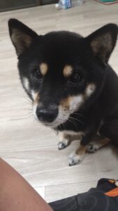 夜のお時間　2025/10/24