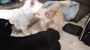 朝のお時間　2025/10/25