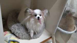 夜のお時間　2025/10/25