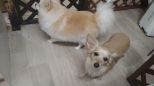 午前のお時間　2025/1/26