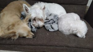 夜のお時間　2025/10/26