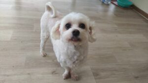 午前のお時間　2025/10/27