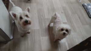 夜のお時間　2025/10/27