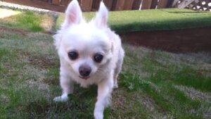 午前のお時間 2025/10/28